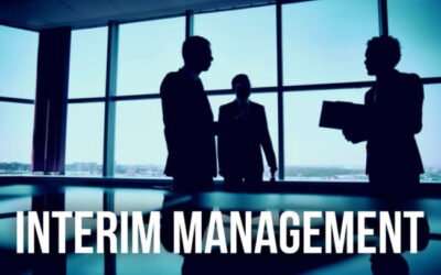 Bridging the Gap with Confidence: Interim Consultants