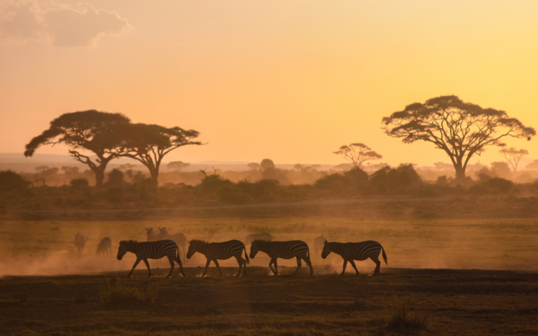 KIPI’s Role in Supporting Kenya’s Big Four Agenda Enablers