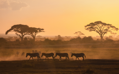 KIPI’s Role in Supporting Kenya’s Big Four Agenda Enablers