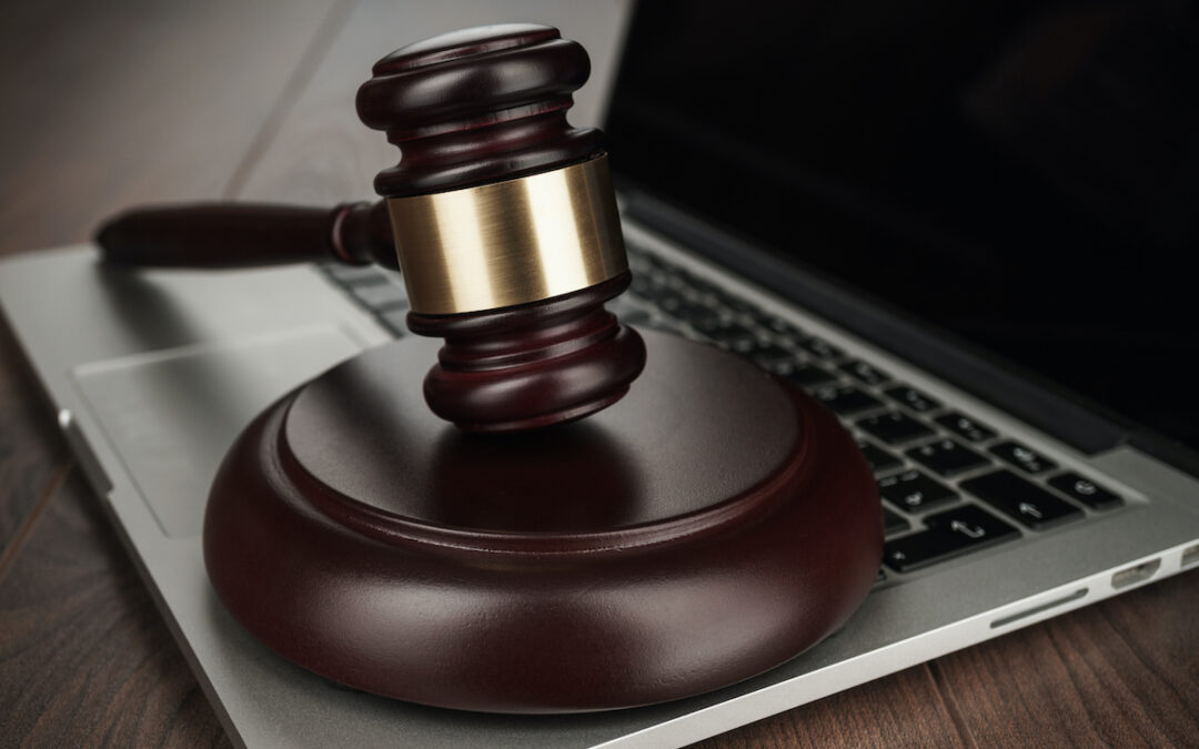 Protecting Software and Digital Inventions