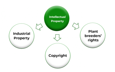 The Role of the Industrial Property Journal in IP Transparency