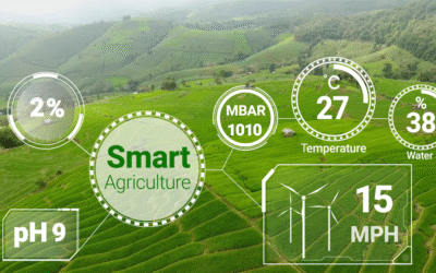 Smart Agriculture: KEBS Standards for Fertilizers, Seeds, and Tools Compliance